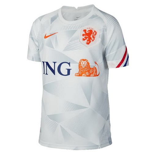 Pre Match Camiseta Países Bajos 2020 Gris