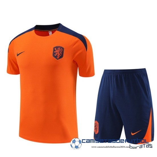 Entrenamiento Conjunto Completo Países Bajos Equipación 2024 Naranja Azul